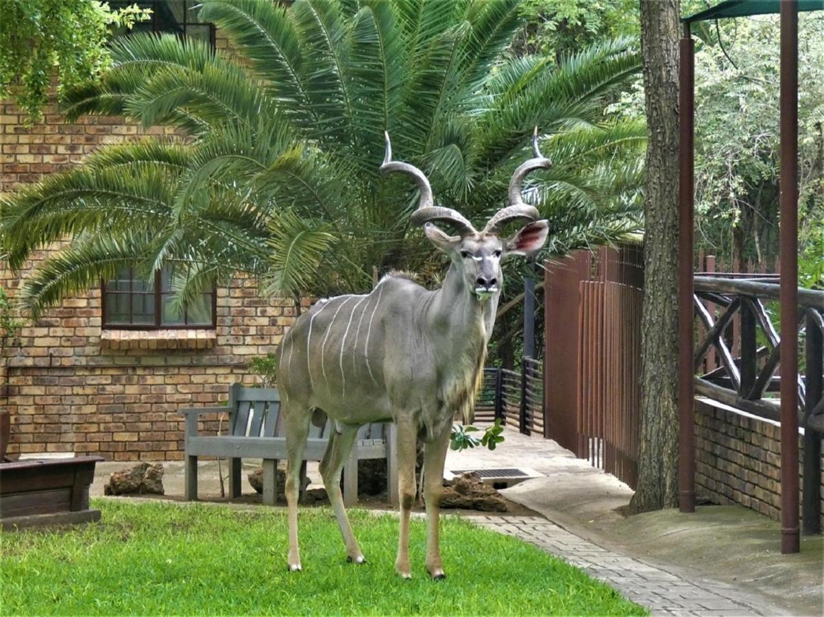Weltevrede Lodge - Self Catering Houses Marloth Park Zewnętrze zdjęcie